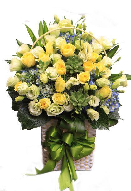 Điện Hoa Hà Nội - Hoa Sài Gòn