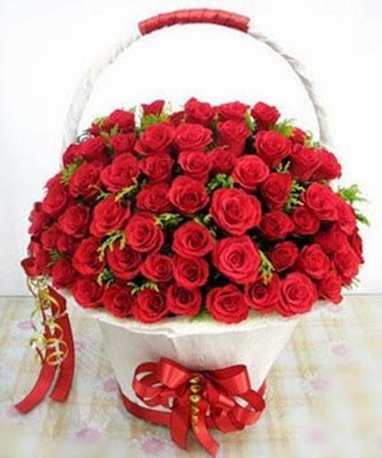 Điện Hoa Quảng Bình - Hoa Sài Gòn