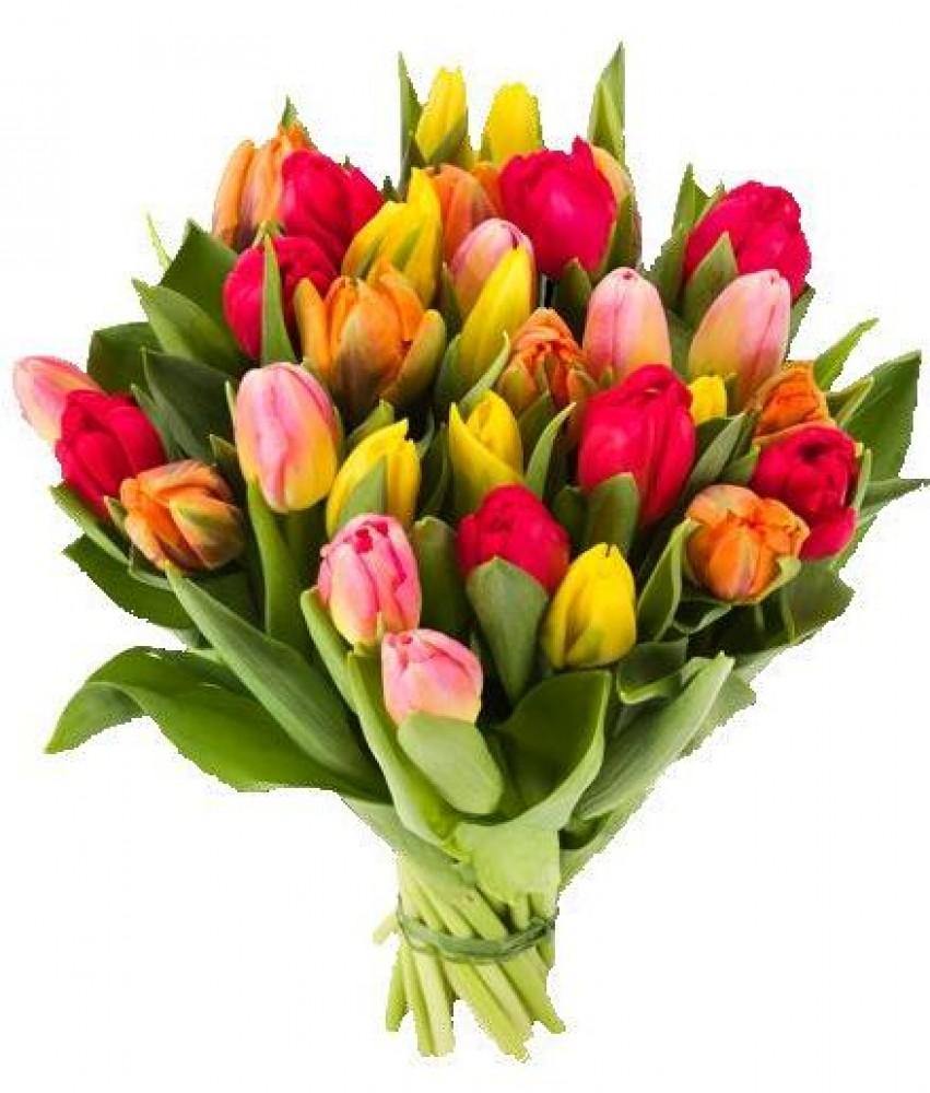 Điện Hoa Yên Bái - Hoa Sài Gòn