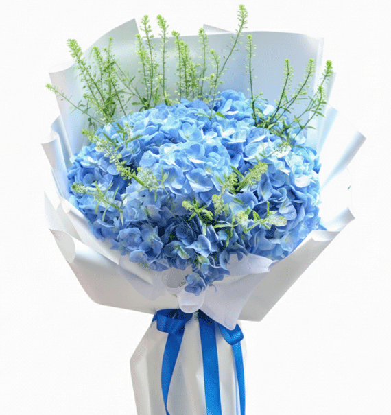 Hoa cẩm tú cầu tặng sinh nhật — Hydra Blue — Hoa Sài Gòn