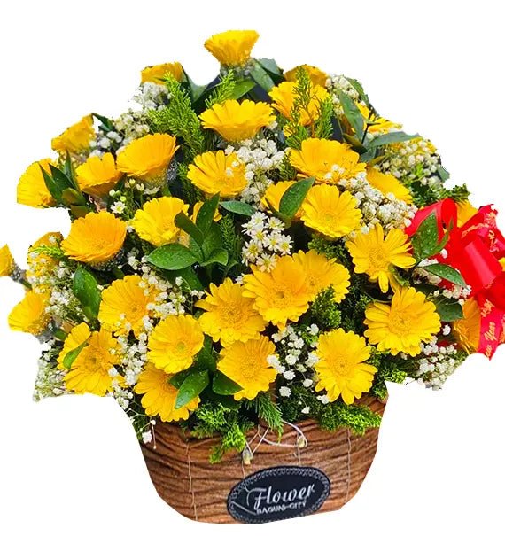 Ý Nghĩa Hoa Đồng Tiền Loài Hoa Mang Lại May Mắn Hạnh Phúc - Hoa Sài Gòn