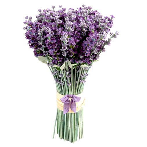 Ý nghĩa hoa Lavender món quà tinh tế và đầy cảm xúc - Hoa Sài Gòn