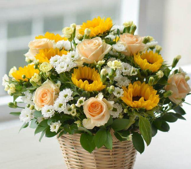 Điện Hoa Bắc Ninh - Hoa Sài Gòn