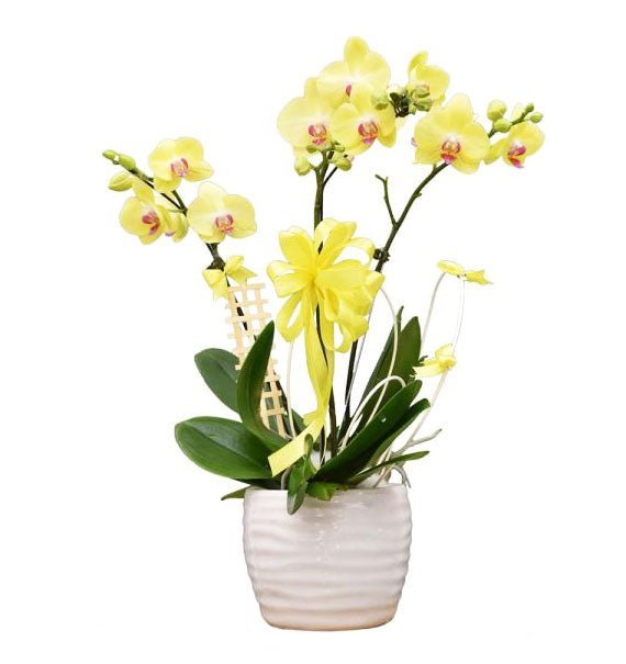 3 Điều Ngọt Ngào