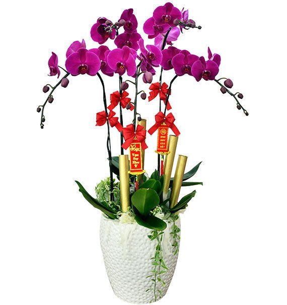 5 Lời Chúc Dịu Dàng