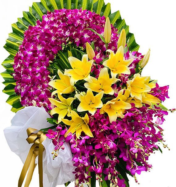 An Giấc - Hoa Sài Gòn