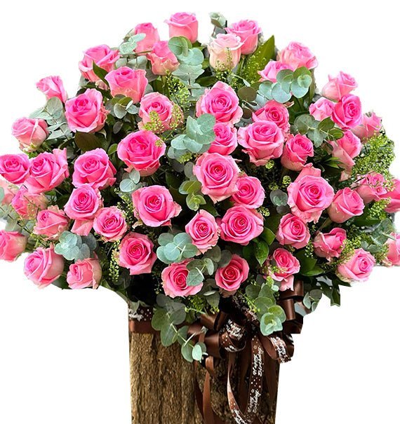 An Nhiên Khai Sắc