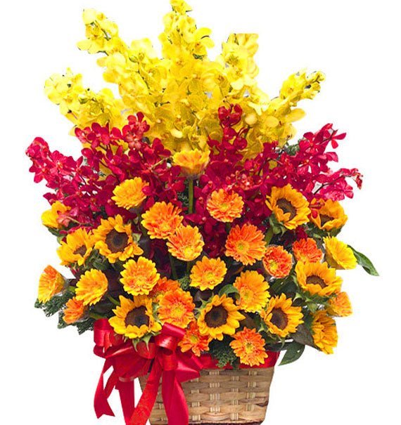 An Nhiên Khởi Sắc