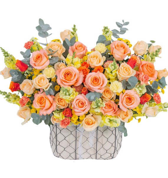 Ánh Dương Rực Rỡ