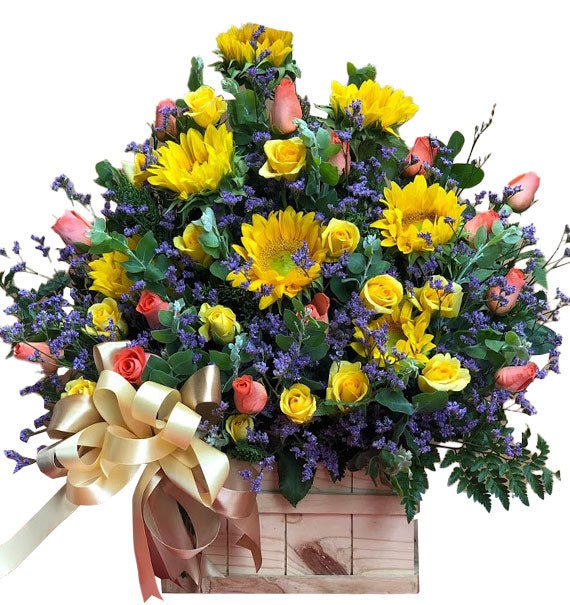 anh duong thanh cong