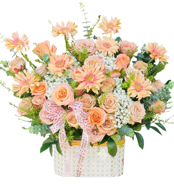 Ánh Hạ Vấn Vương