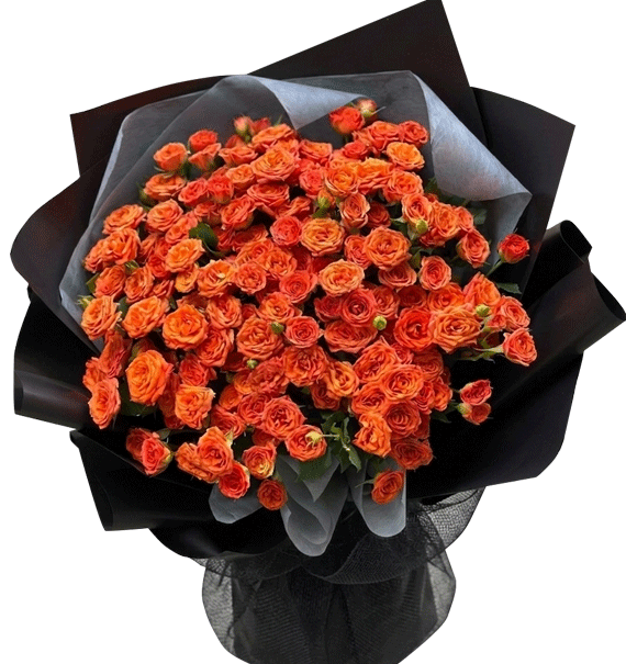 Ánh Rạng Ngời