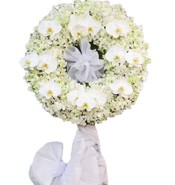 Ánh Sáng Của Hy Vọng - Hoa Sài Gòn