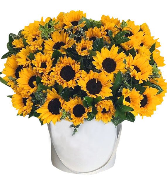 Ánh Sáng Từ Trái Tim