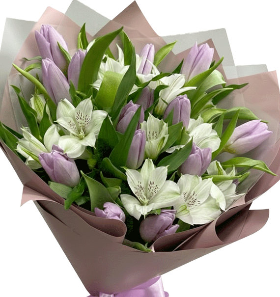 Ánh Tím Hoàng Hôn