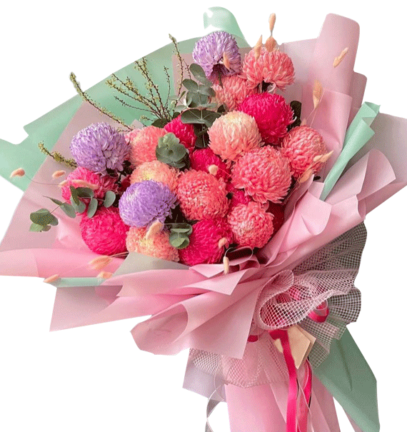 Bản Giao Hưởng Sắc Đẹp