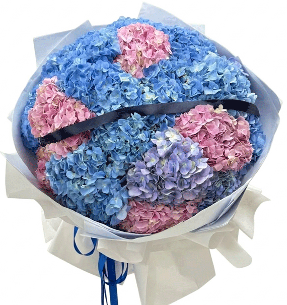 Bản Hòa Ca Sắc Hoa