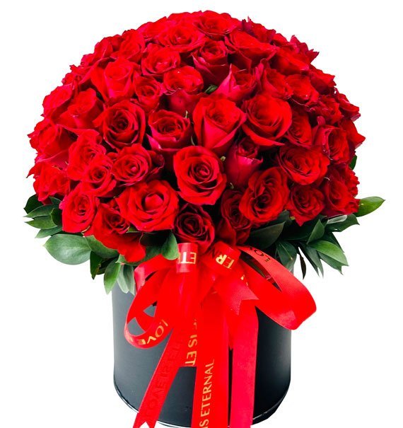 Bạn Là Ánh Mặt Trời