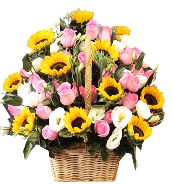 Bật Mode Thành Công - Hoa Sài Gòn