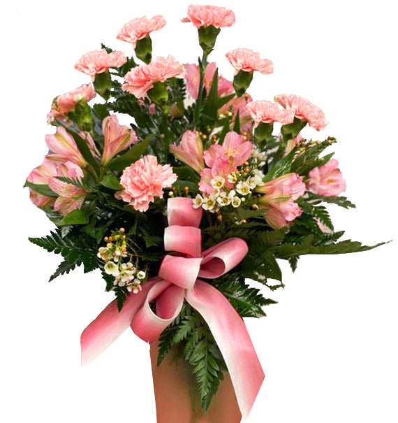 Bé Hồng - Hoa Sài Gòn