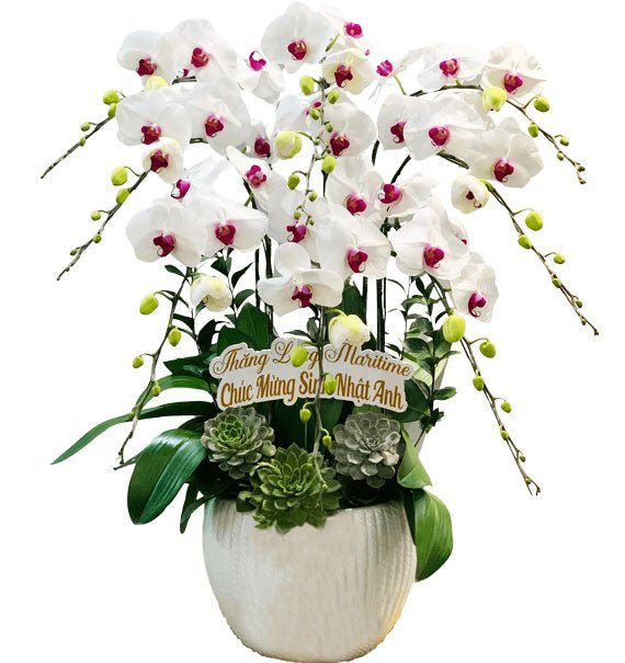 Biểu Tượng Hoàn Hảo