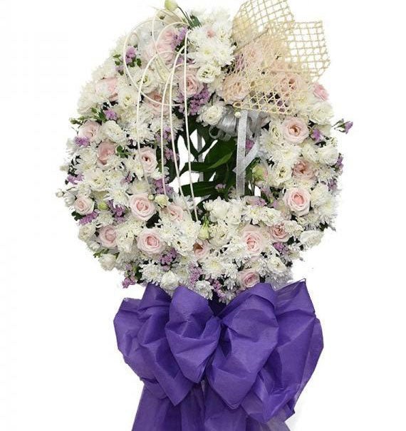 Bình An - Hoa Sài Gòn