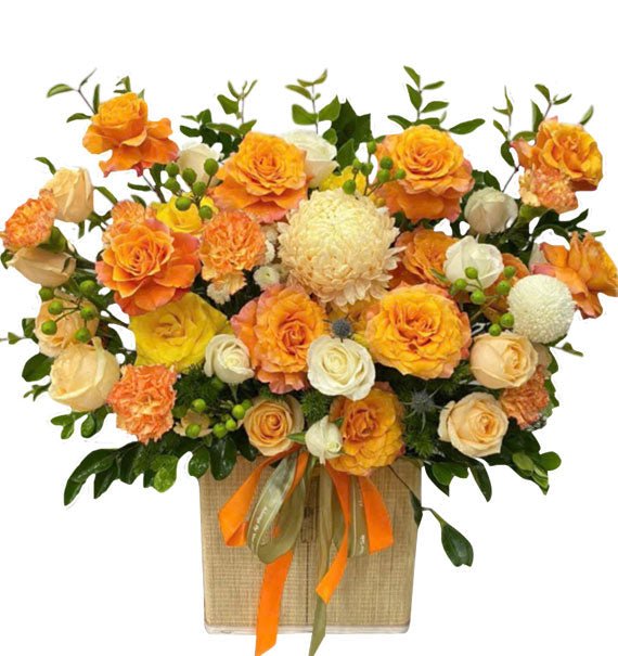 Bình An Khởi Đầu - Hoa Sài Gòn