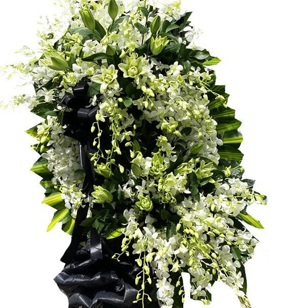 Bình An Nhé - Hoa Sài Gòn