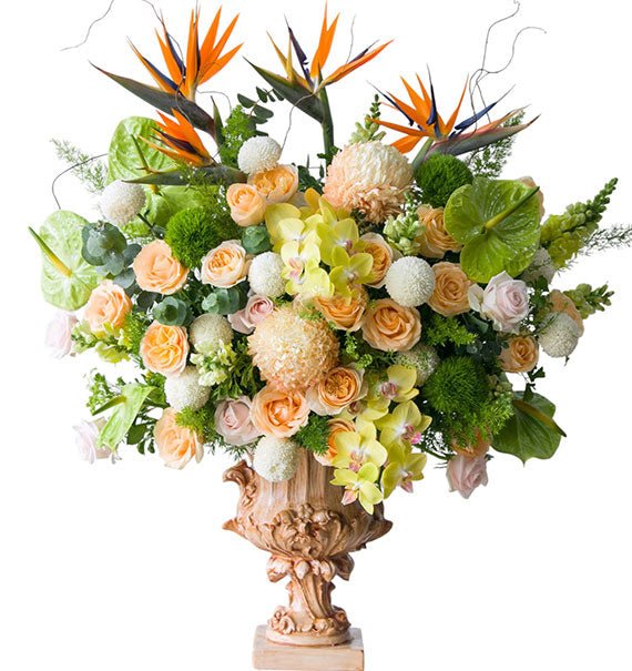 binh hoa mung sinh nhat sep