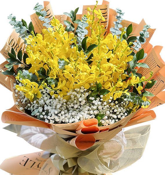 Bình Minh May Mắn