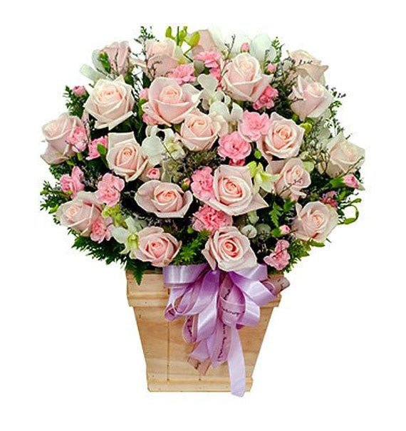 Tình Yêu Màu Pastel