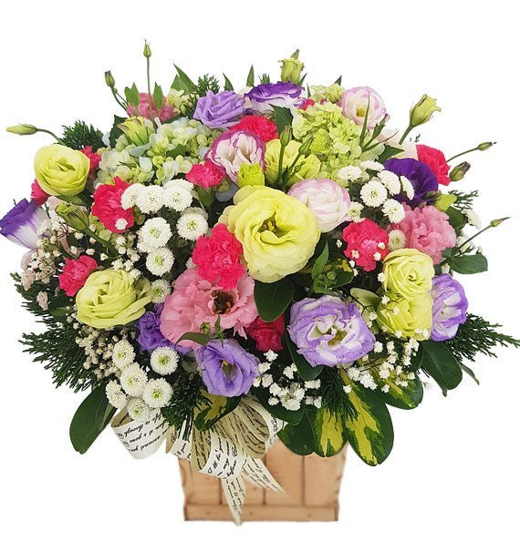 Bình Yên Một Sớm Mai