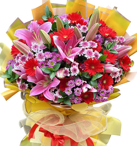 bo ly hong va dong tien do