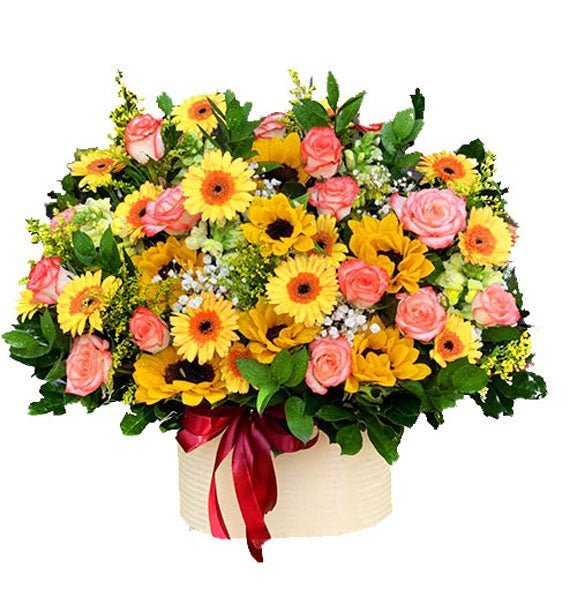 Bội Thu - Hoa Sài Gòn