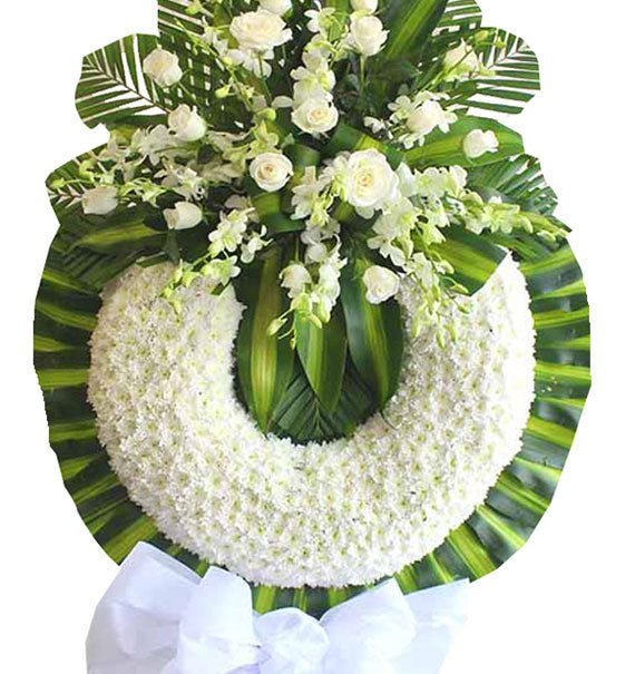 Bụi Trần - Hoa Sài Gòn