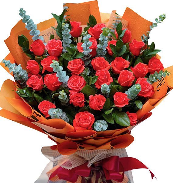 Bừng Sáng Một Ngày Mới