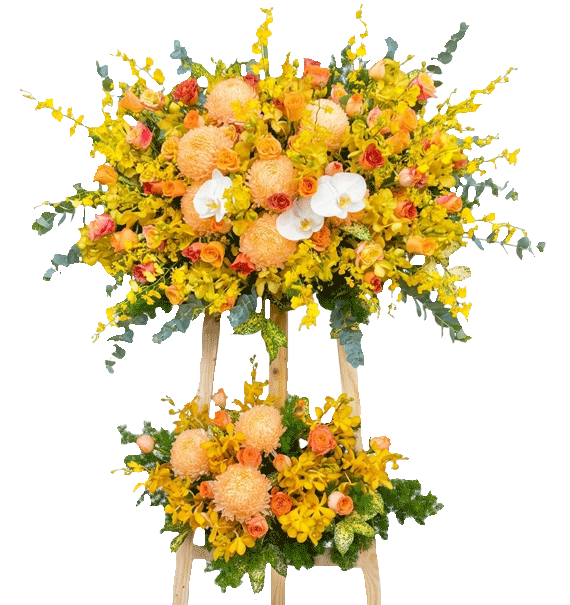 Bừng Sáng Tương Lai