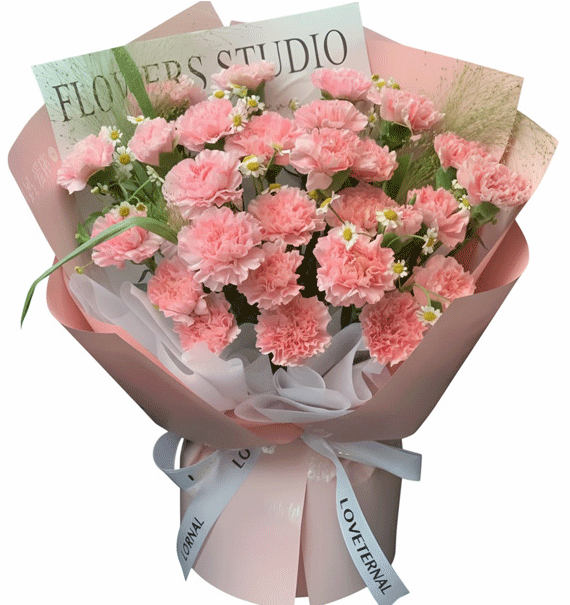 Cẩm Chướng Thanh Nhã