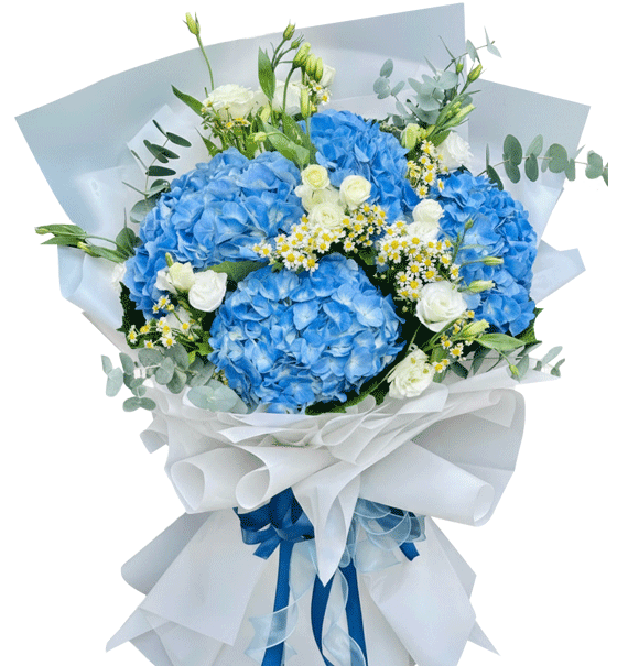 Cẩm Tú Cầu Của Yêu Thương