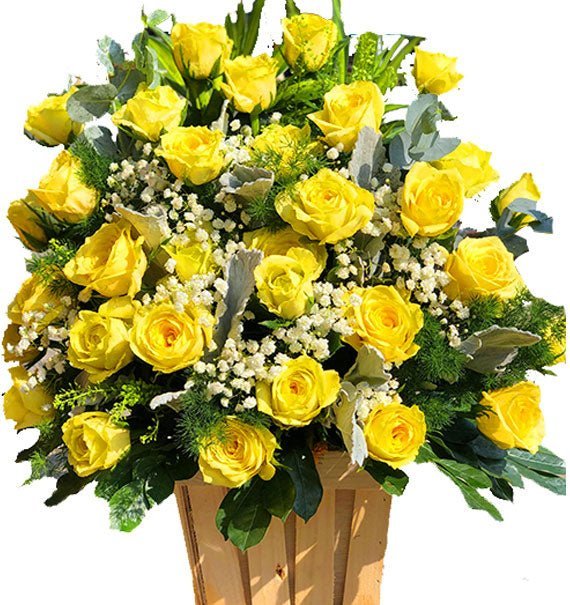 Cánh Cửa Hy Vọng - Hoa Sài Gòn