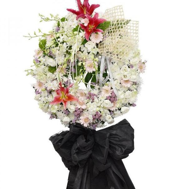 Cánh Vạc Bay - Hoa Sài Gòn