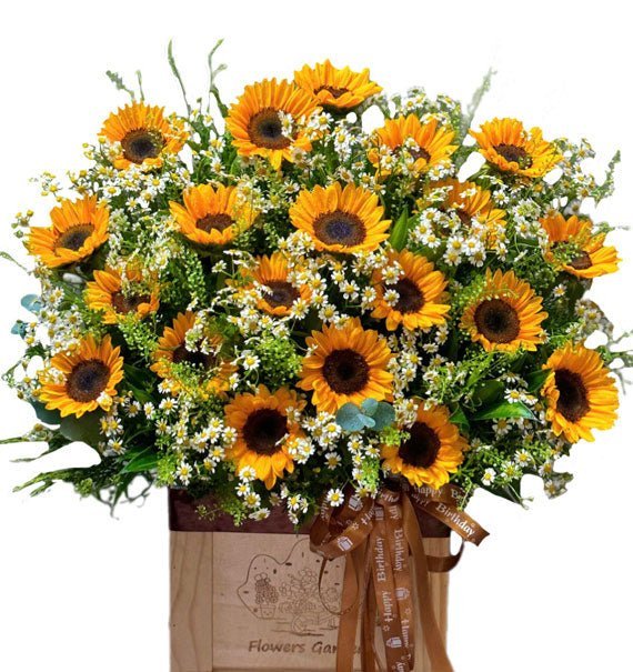 Cát Tài - Hoa Sài Gòn