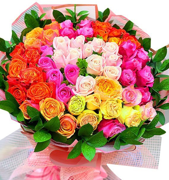 Cầu Vòng Cảm Xúc