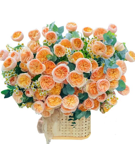 Chạm Đỉnh - Hoa Sài Gòn