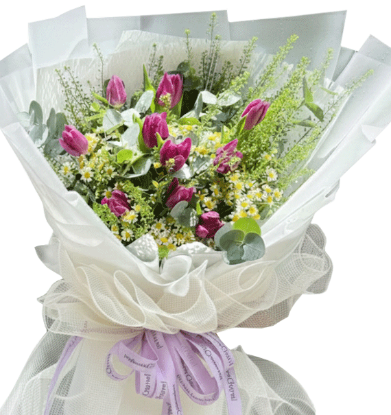 Chạm Nhớ Dịu Dàng