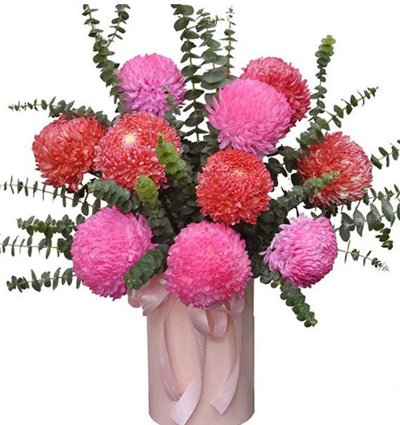 Chân Trời Tươi Đẹp - Hoa Sài Gòn