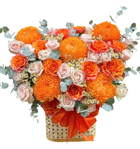 Chúc Bạn Một Năm Rạng Rỡ