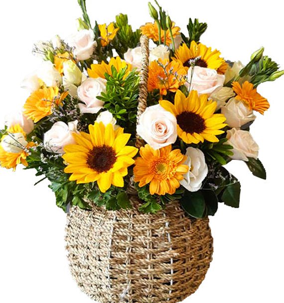 Chúc Mừng Thành Công - Hoa Sài Gòn