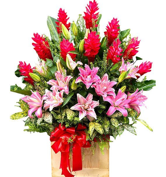 Chúc Mừng Vinh Hoa