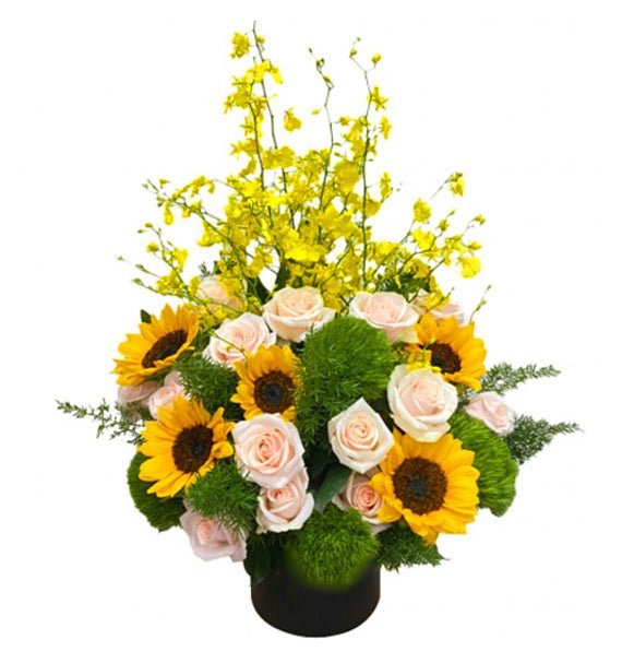 Chúc Mừng Vinh Hoa